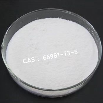 7-[(3-chloro-6-methyl-5,5-dioxo-diphenzo[1,2]thiazepine-11-)amino]heptanoic acid cas 66981-73-5 white powder